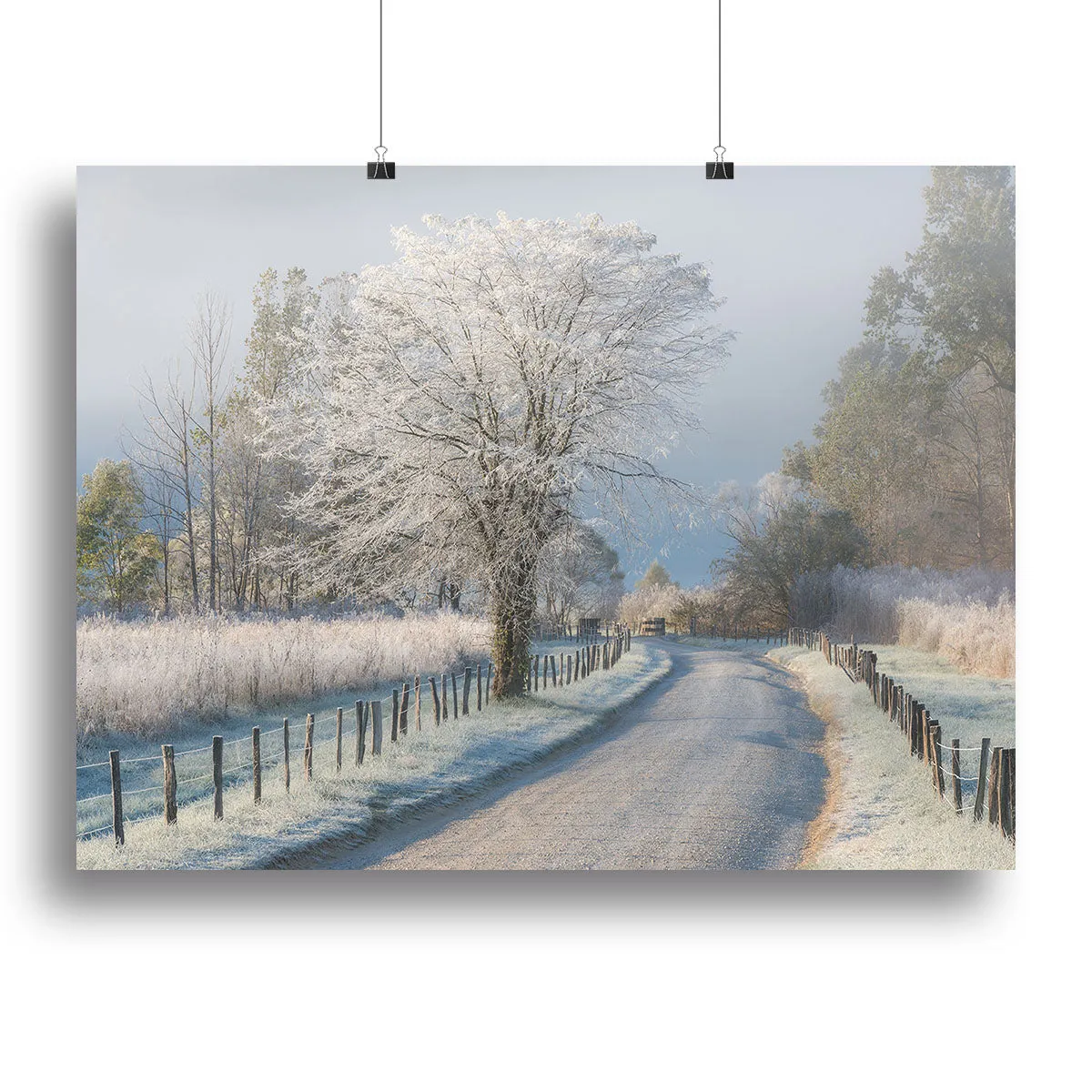 A Frosty Morning Canvas Print or Poster