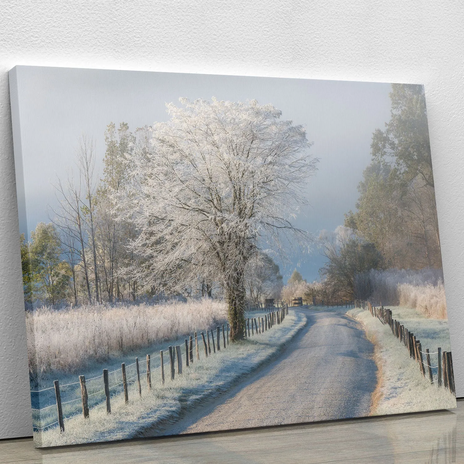 A Frosty Morning Canvas Print or Poster