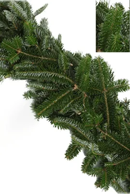 Fresh Fraser Fir Christmas Garland