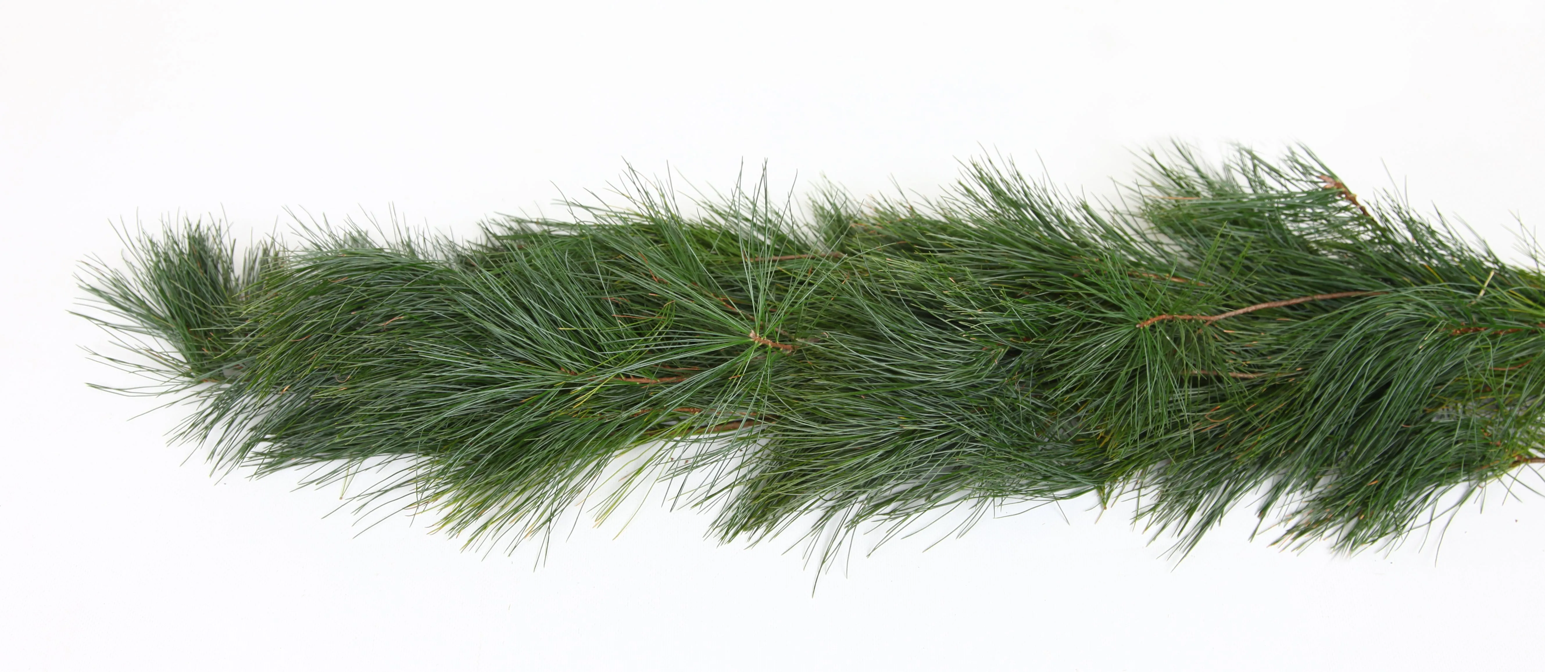 Fresh White Pine Christmas Garland