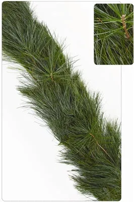 Fresh White Pine Christmas Garland