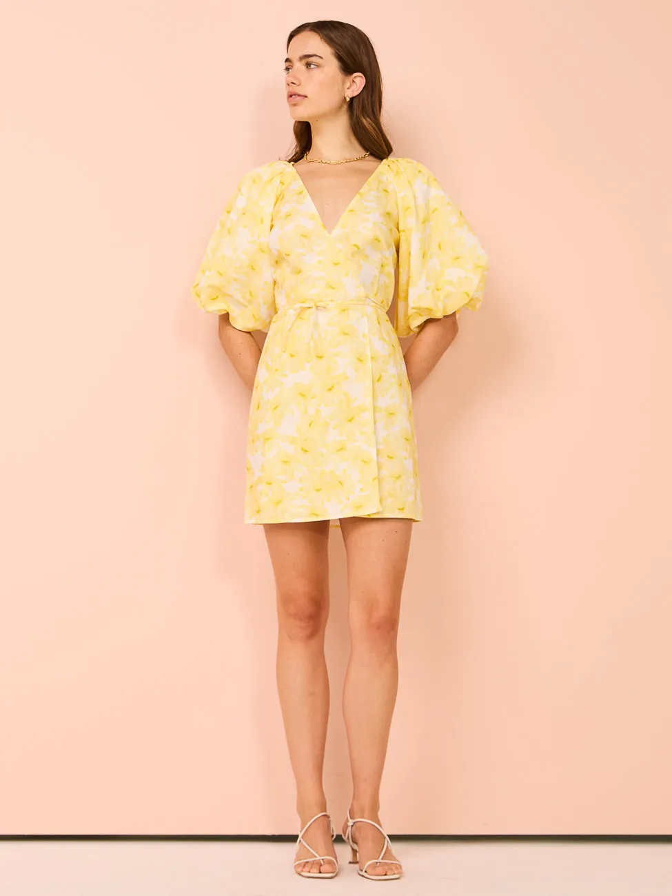 Kinney Lailah Mini Dress in Daisy Haze