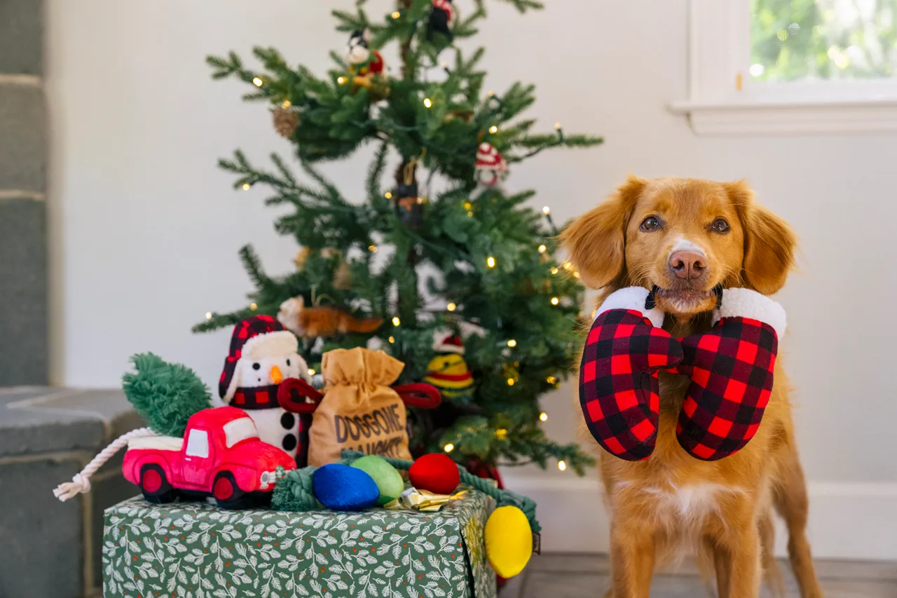 P.L.A.Y. Home for the Holidays Interactive Dog Toy, Bag of Coal