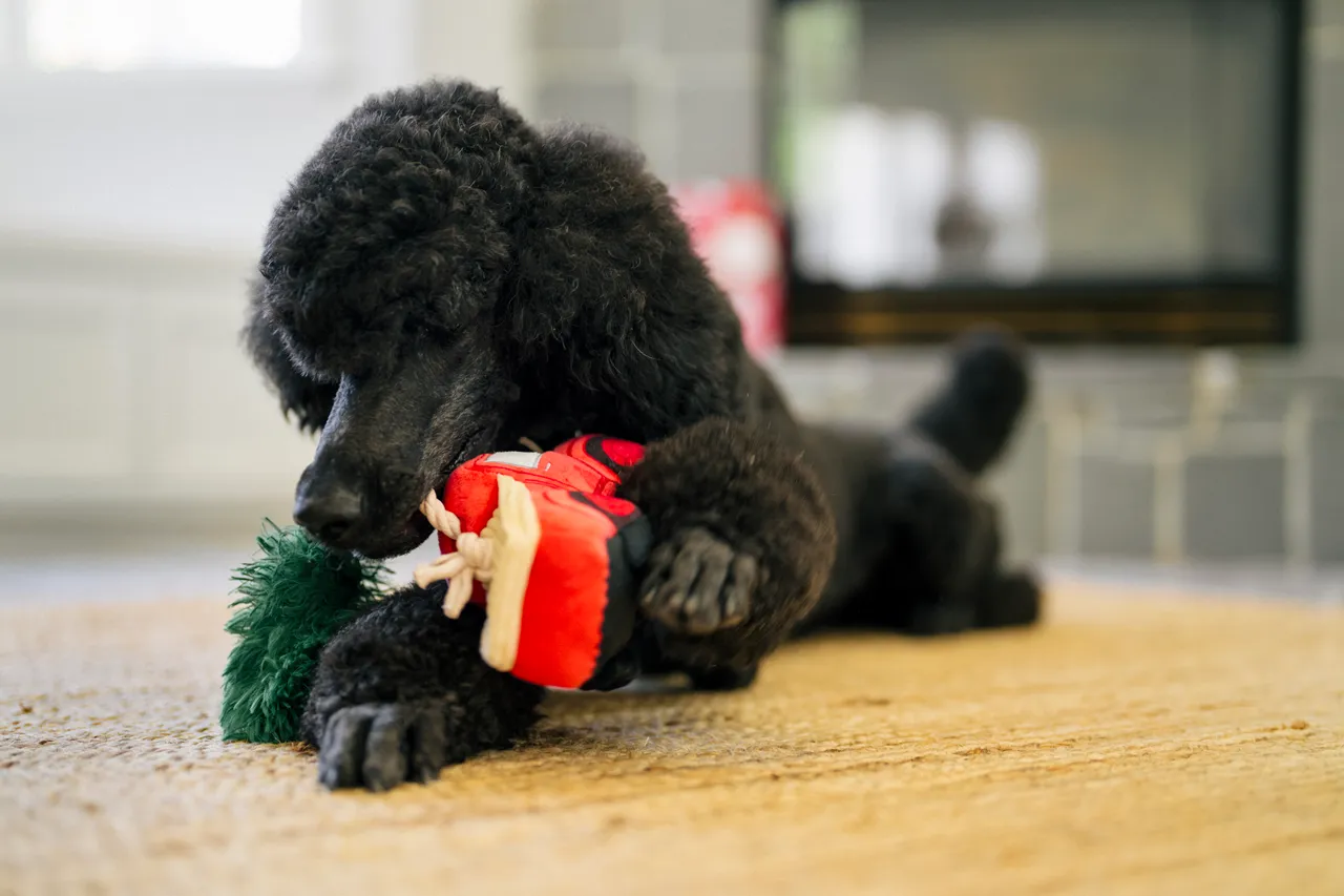 P.L.A.Y. Home for the Holidays Interactive Dog Toy, Red Truck