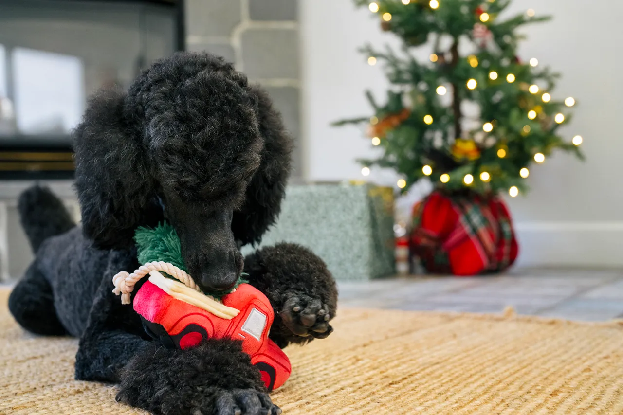 P.L.A.Y. Home for the Holidays Interactive Dog Toy, Red Truck