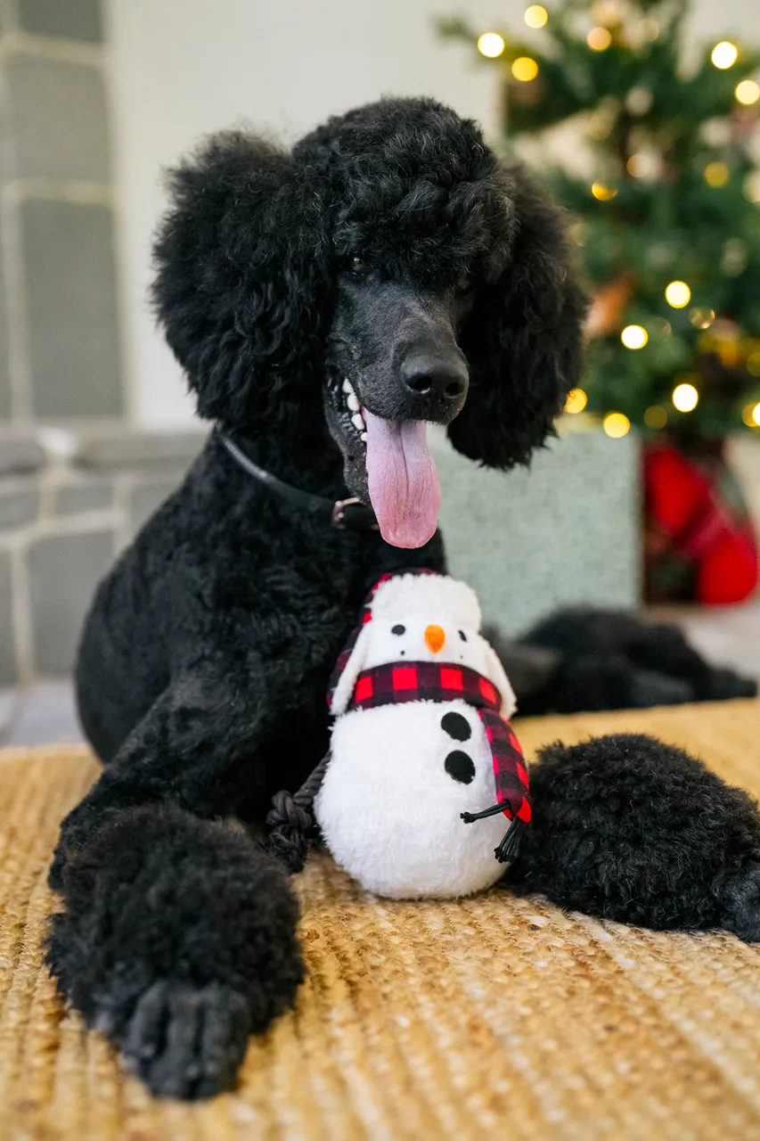 P.L.A.Y. Home for the Holidays Interactive Dog Toy, Snowman