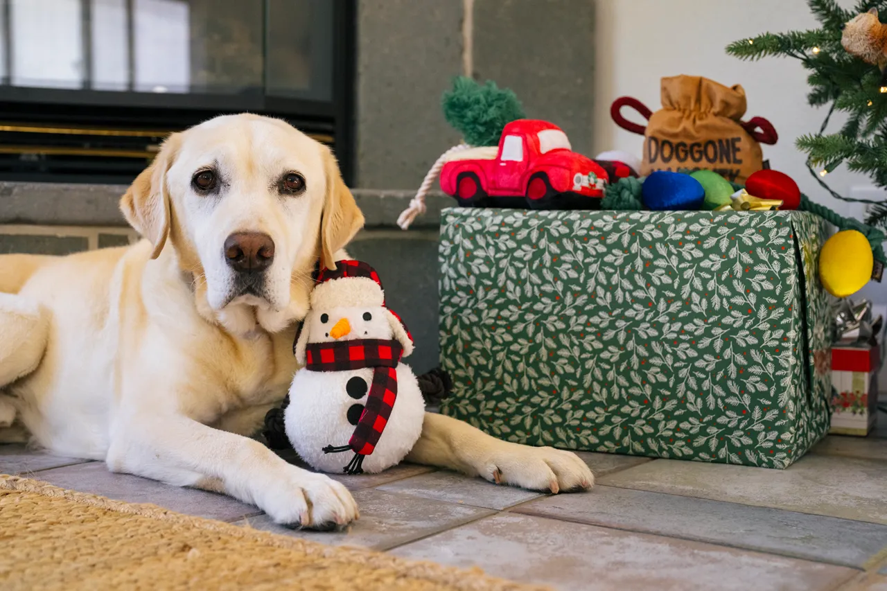 P.L.A.Y. Home for the Holidays Interactive Dog Toy, Snowman