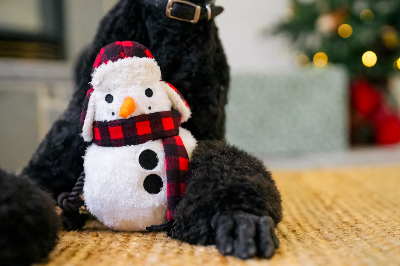 P.L.A.Y. Home for the Holidays Interactive Dog Toy, Snowman