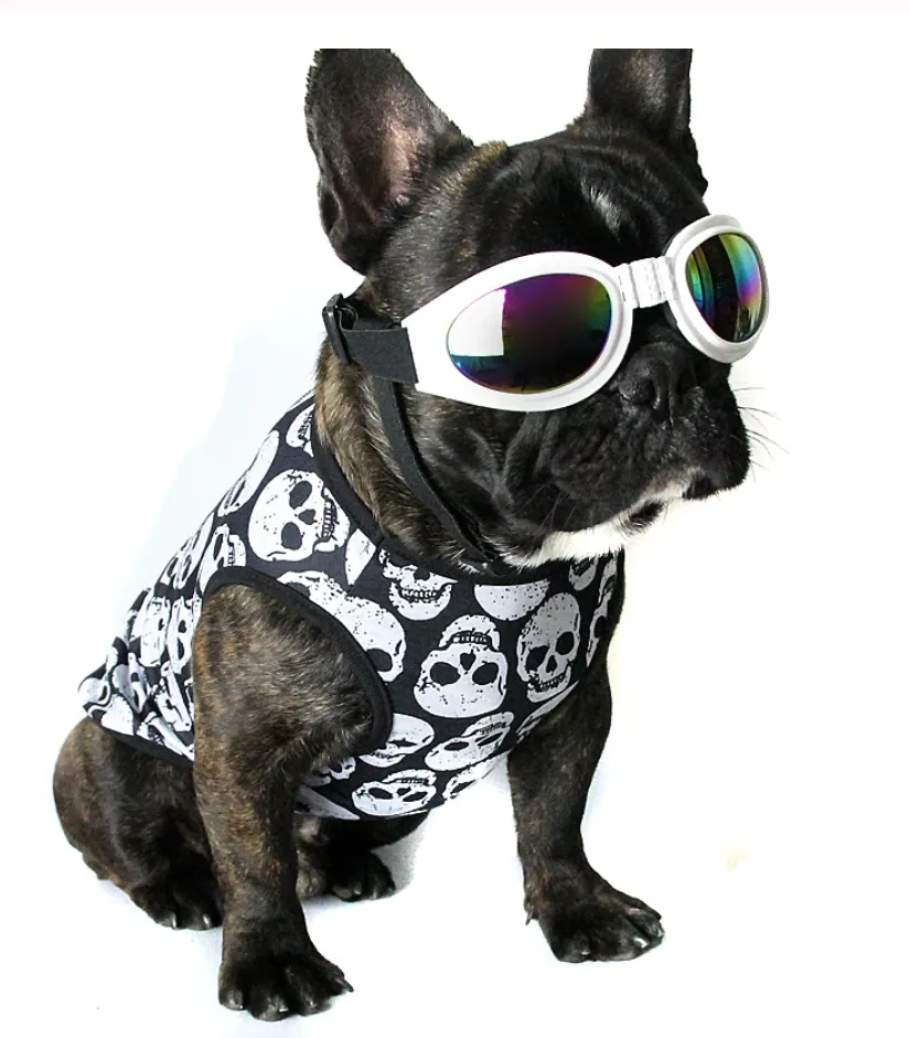 Skull Pattern Shirt for French Bulldog (WS80)